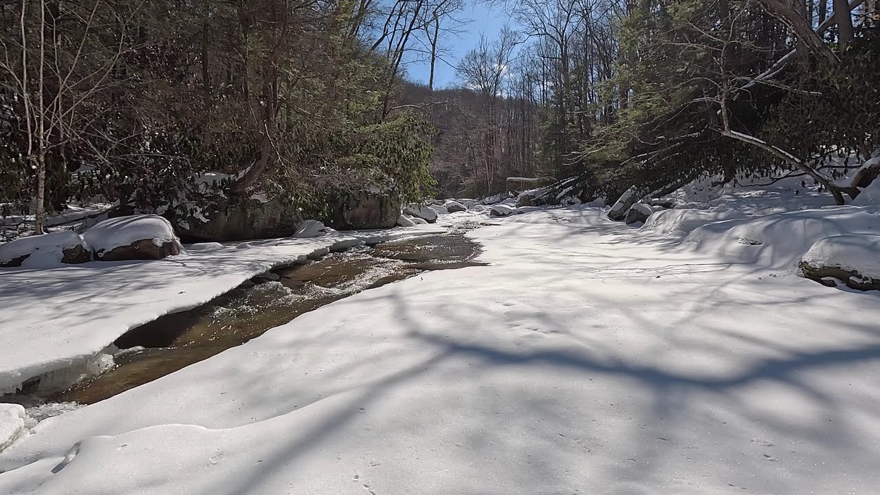 Meadow Run streaming through the snow. 20260208 1228: Nature Sounds and Visuals, Calming & Relaxing