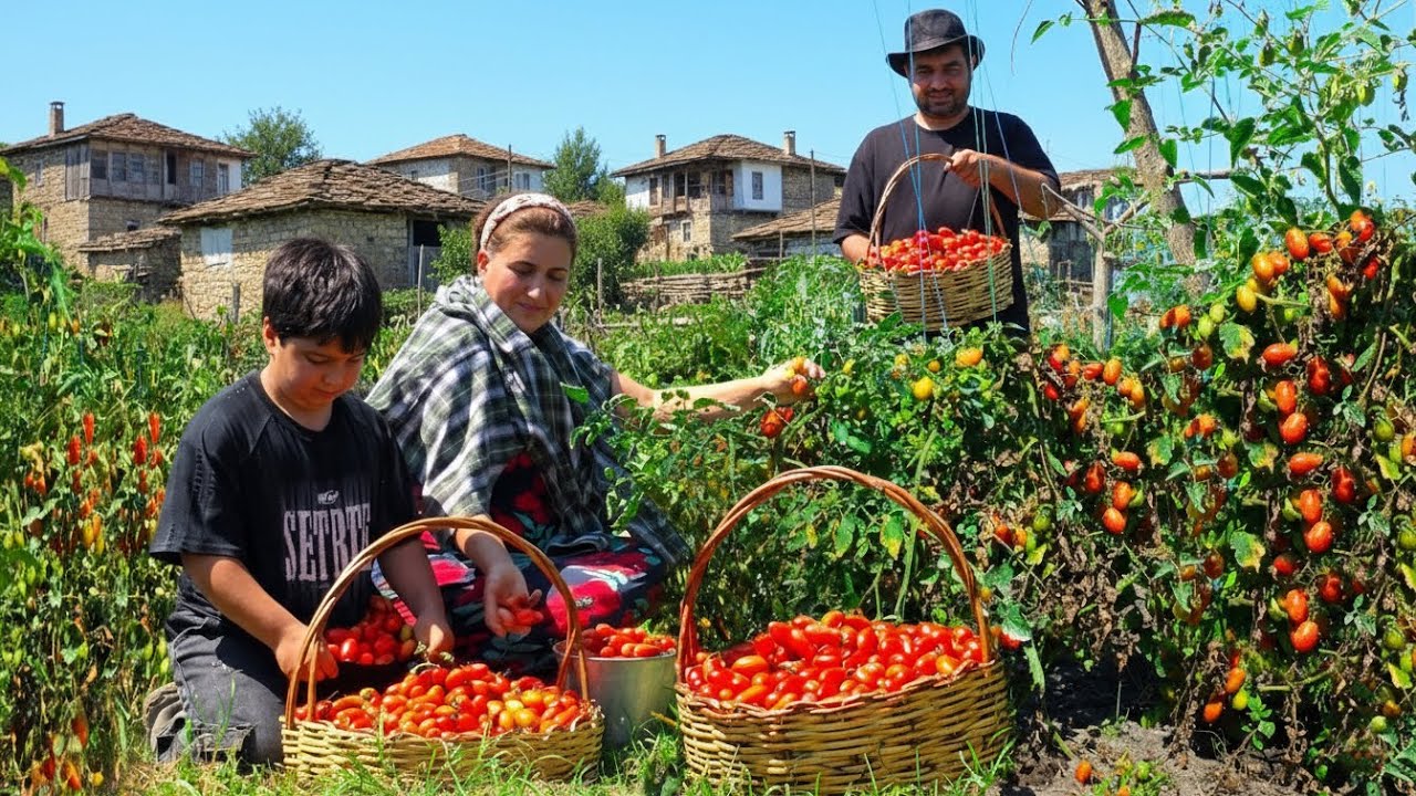 Relaxing Faraway Village - Life in the High Mountains - Rustic Village Cooking
