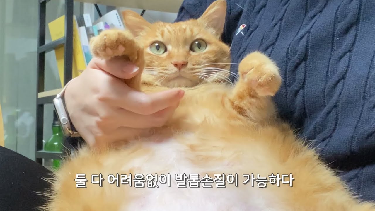 품어주는 건 너일까 나일까