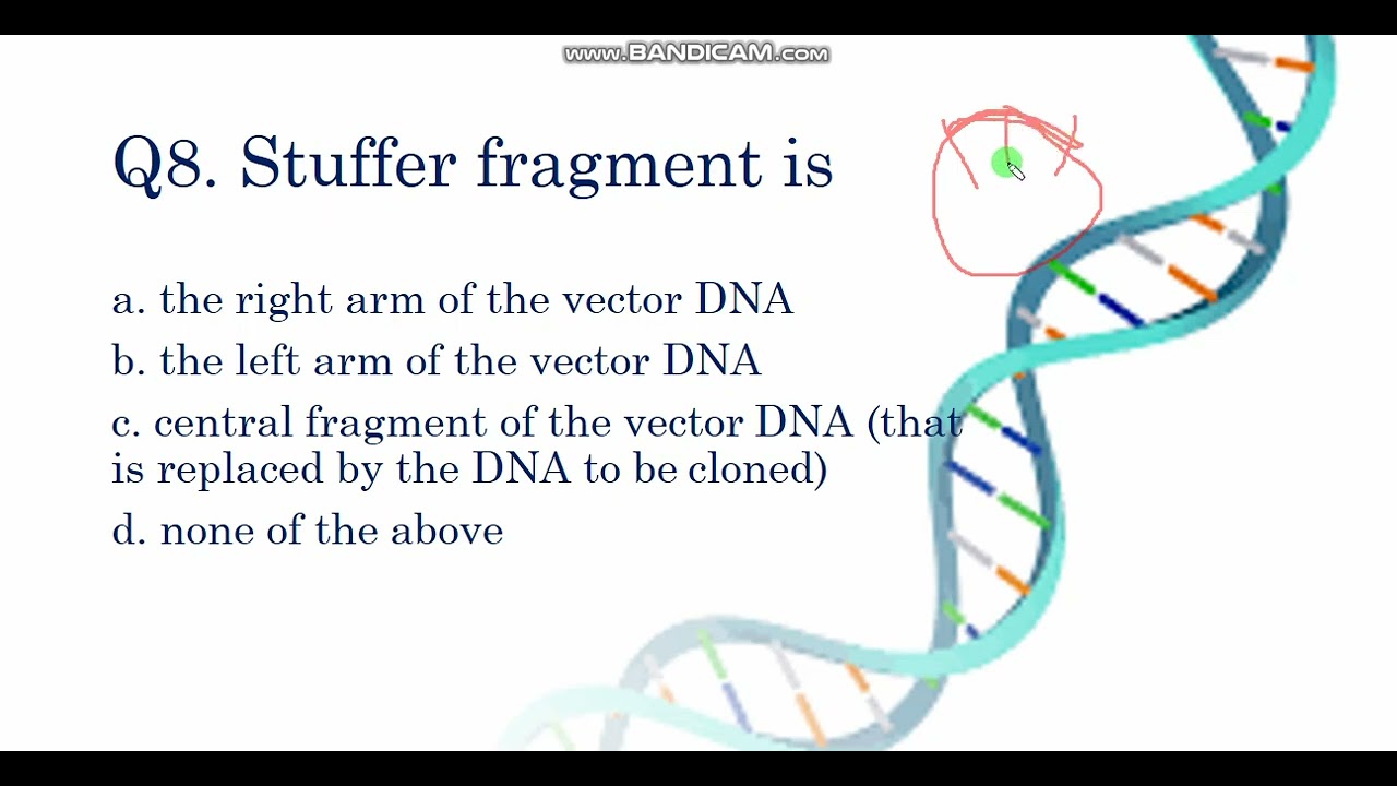 Important MCQ's on Cloning-  vectors - biotechnology -part 1