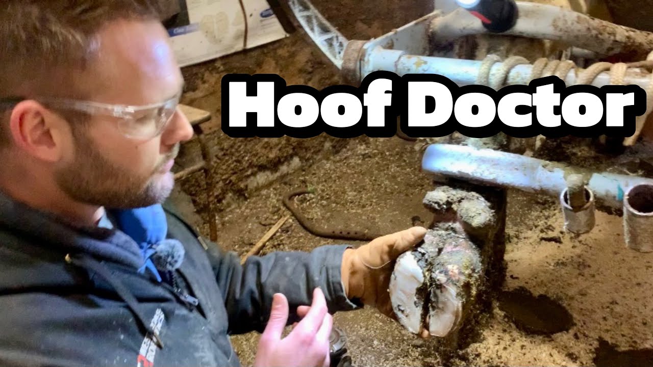 Hoof Trimming: Plus Winter Farm Tour!