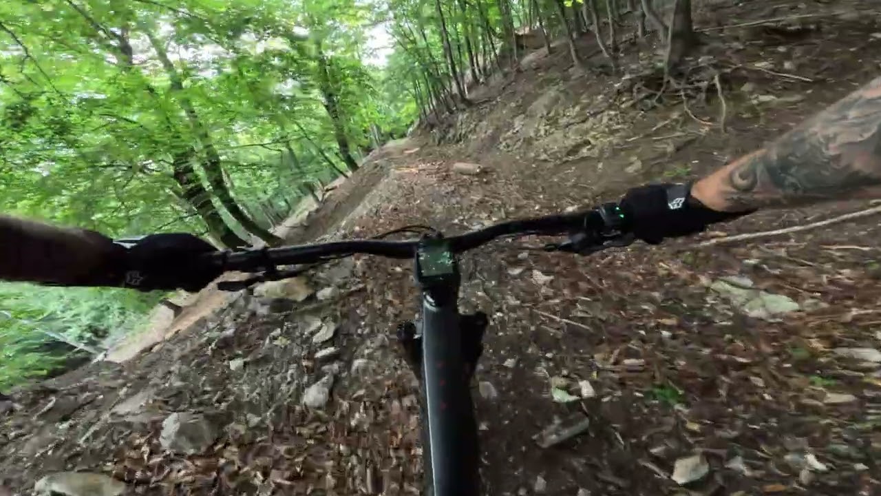 MTB Buková, zničený trail solárka, kellys theos F60