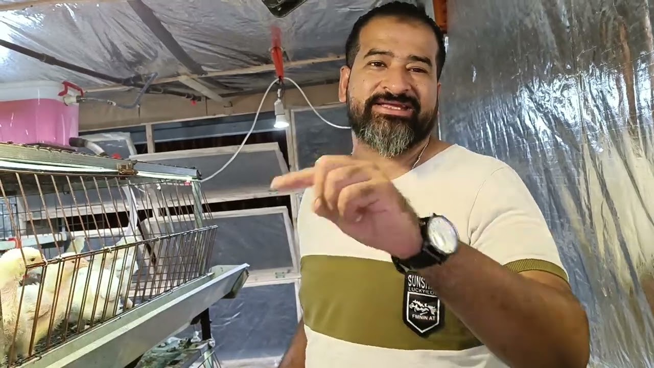 الحلقه الثامنه مع الفنان محمد نجيب وتريكات التحصينات والادويه وشرح لوحه التحكم عن بعد