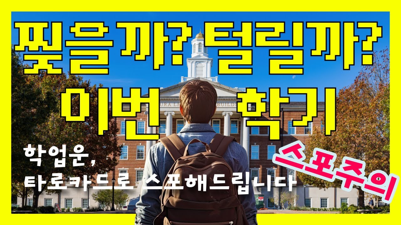 [타로 학업운] 이번 학기 성적 오를까? 신학기 공부운 & 성적운 운세 확인하세요!