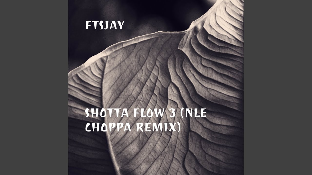 Shotta Flow 3 (NLE Choppa Remix)