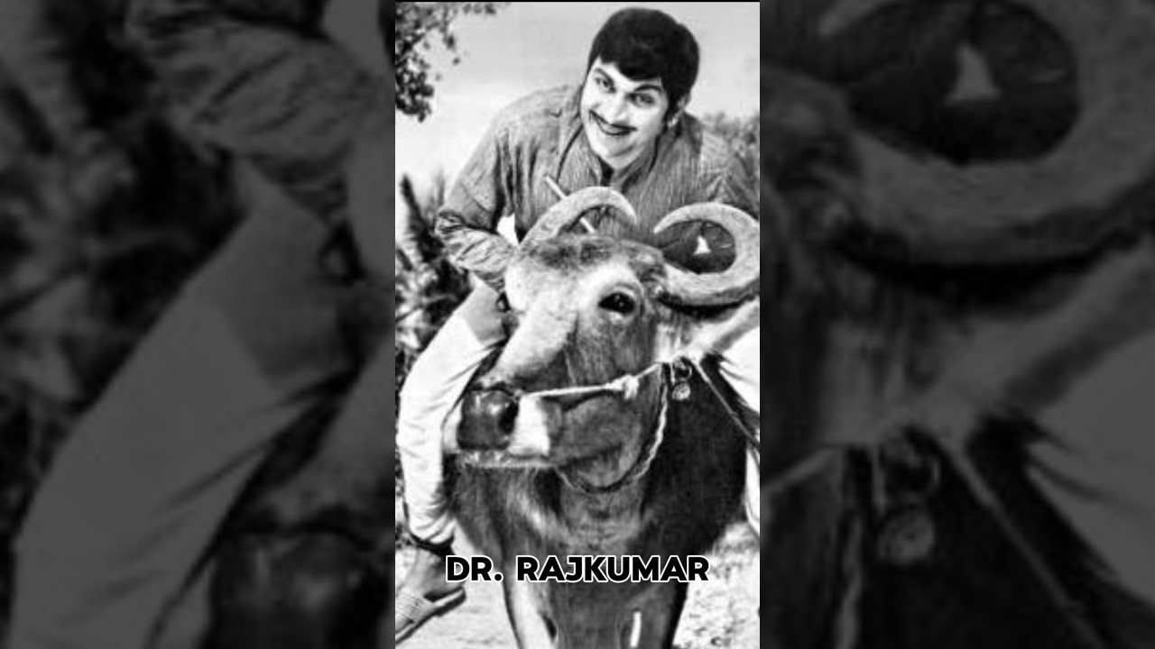 Dr. Rajkumar rare photos | #shorts #drrajkumar #kannada #sandalwood #karnataka #family #views