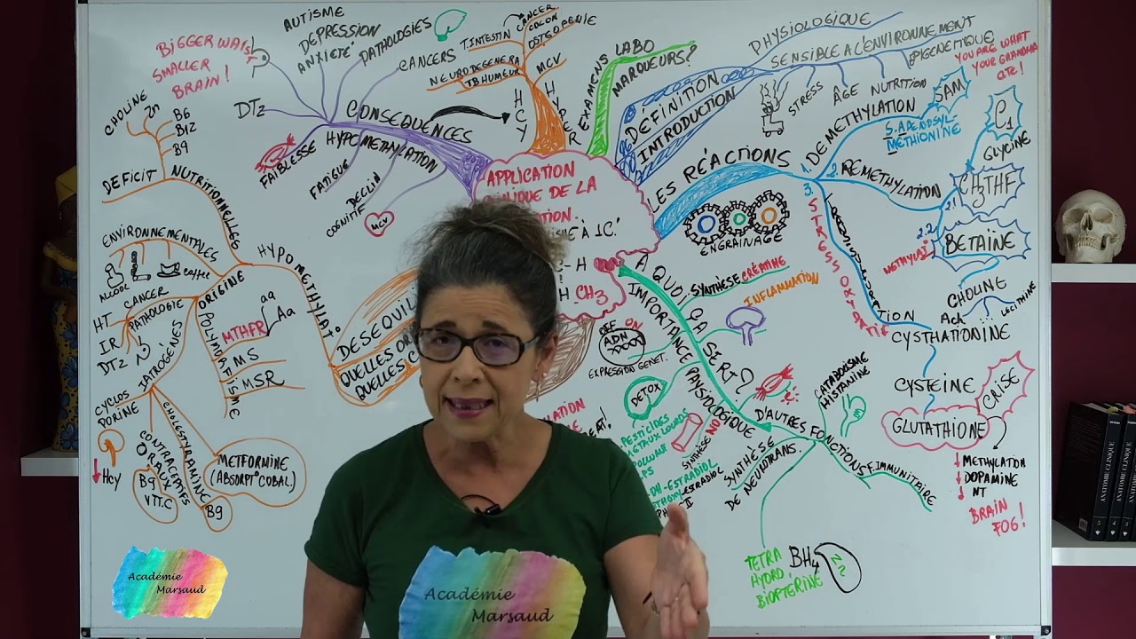 METHYLATION, C'EST QUOI?