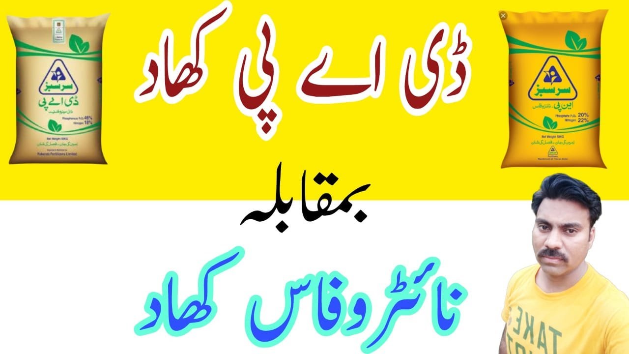 DAP and Nitrophos Fertilizers Comparison |What is the difference between DAP and NP |How to use DAP