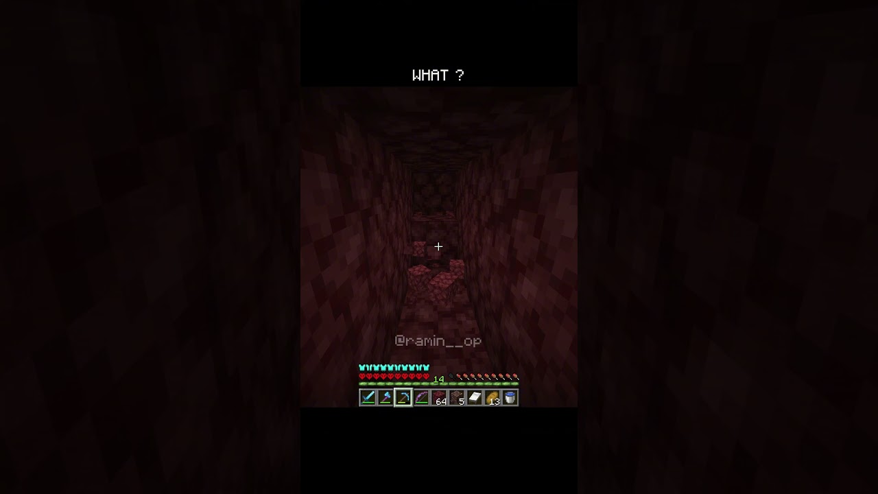 Minecraft moments  #minecraft #shorts #raminop