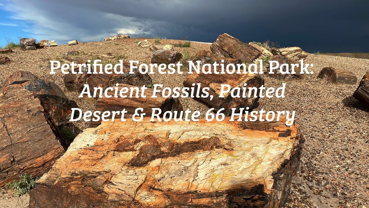 Petrified Forest National Park: Ancient Fossils, Painted Desert & Route 66 History
