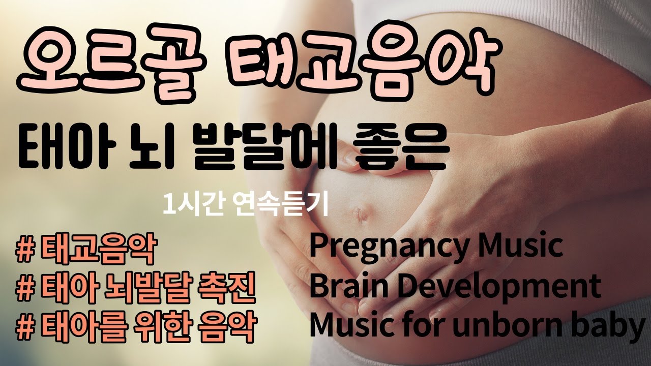 태아 뇌발달을 위한 오르골 태교음악❤️1시간 연속재생, 태아와 엄마의 편안한 휴식을 휘한 오르골 연주 음악,태교음악,태교에 좋은음악 by 힐링메이트