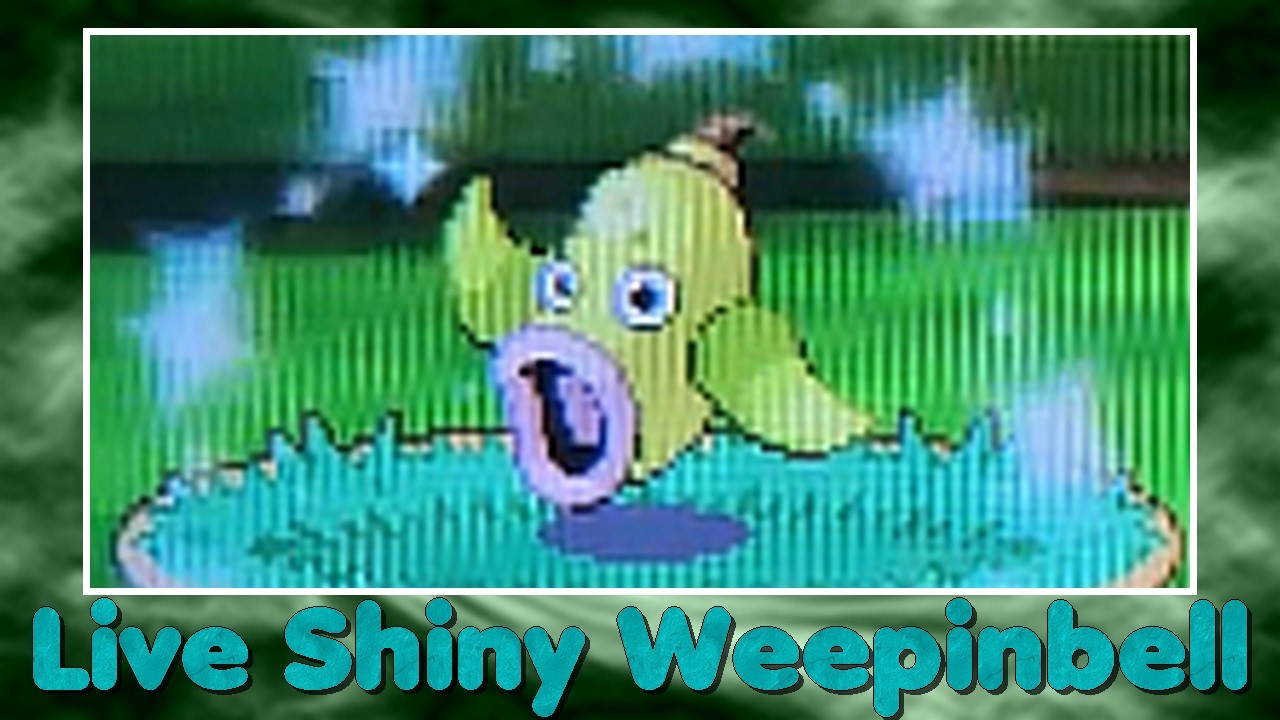 [Live] Shiny Weepinbell / Boustiflor after 2876 RE!
