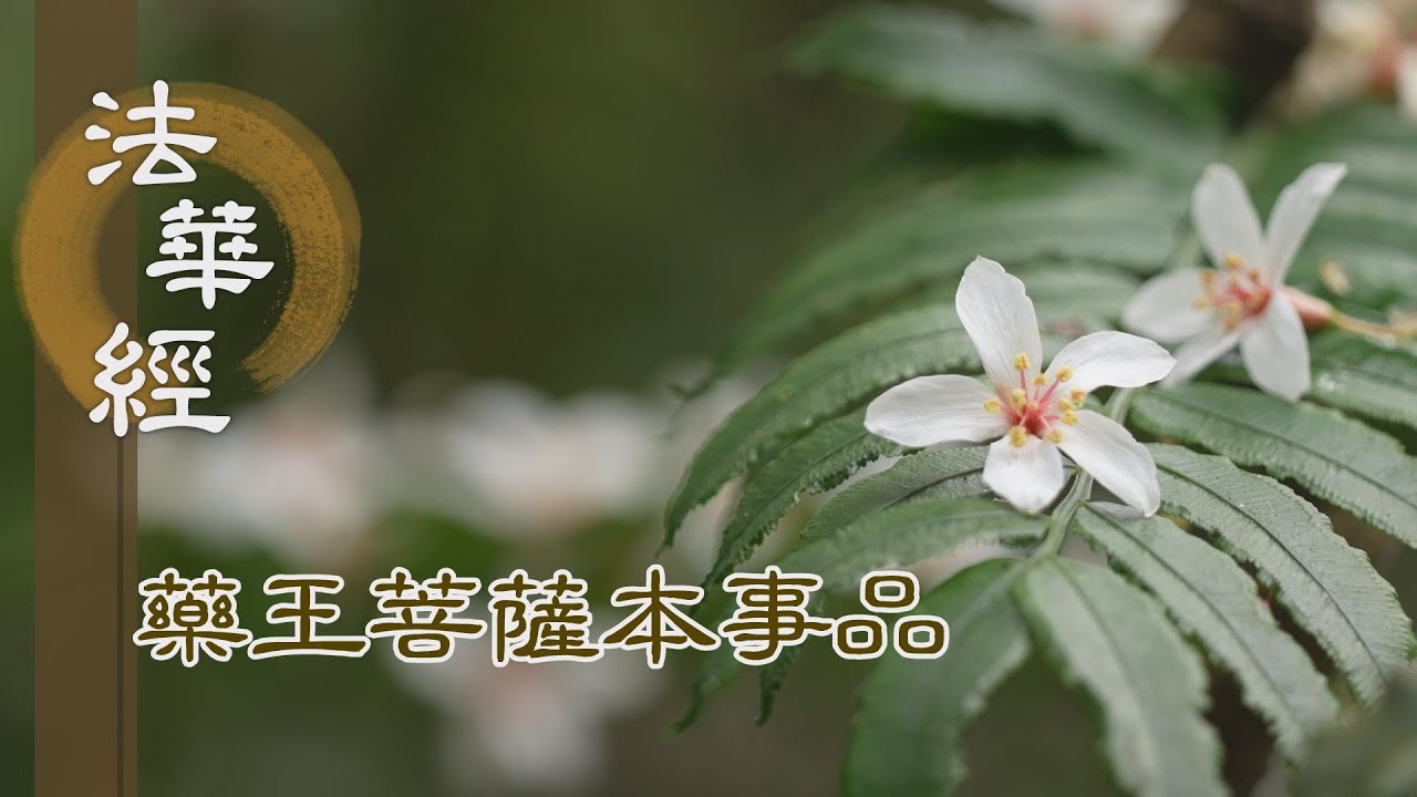 【靜思妙蓮華】 法華經 藥王菩薩本事品 - 致誠燃臂 修福供養 - 第1837集 20241226