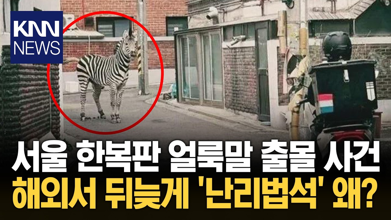 해외 SNS 