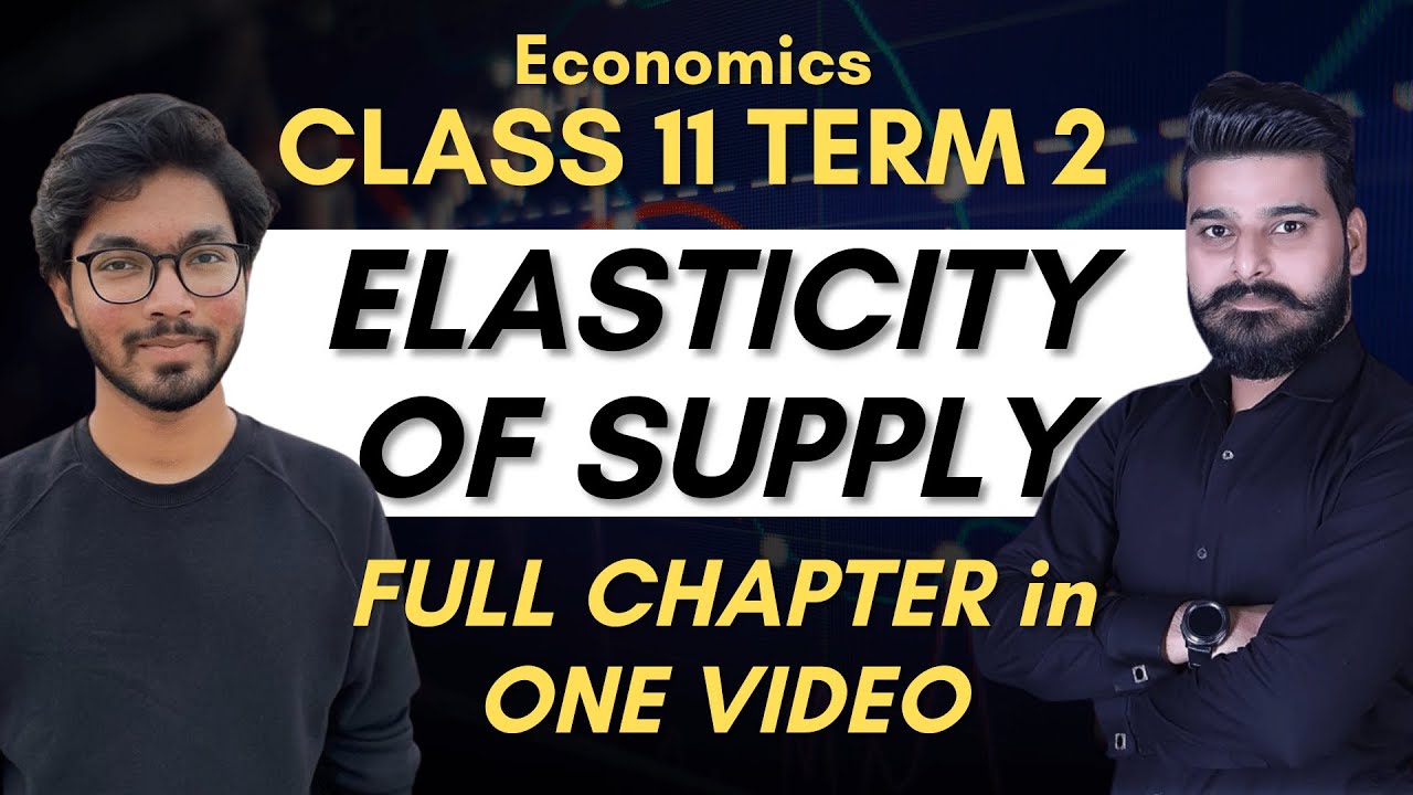 Elasticity of Supply Class 11 Economics Full Chapter One Shot | Class 11 Commerce Term 2 Course |