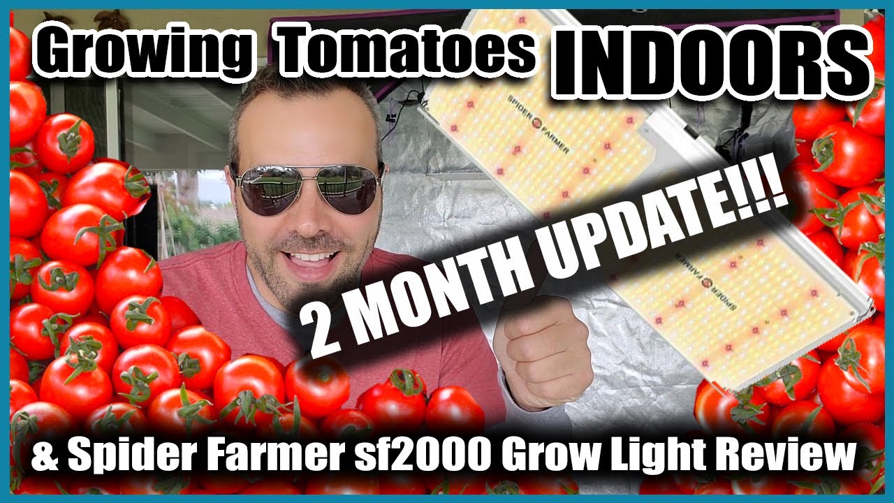 2 MONTH UPDATE Spider Farmers SF 2000 Grow Light and Grow Tent.
