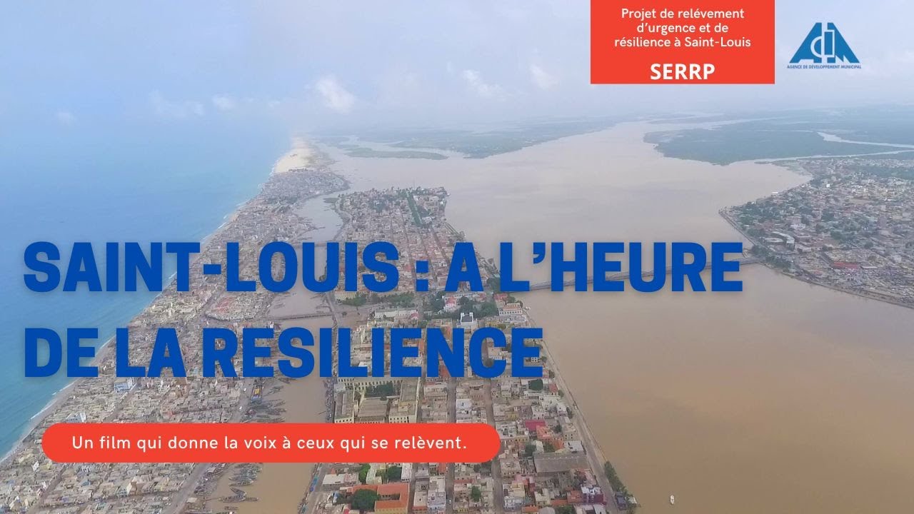 SAINT-LOUIS : À l'heure de la résilience
