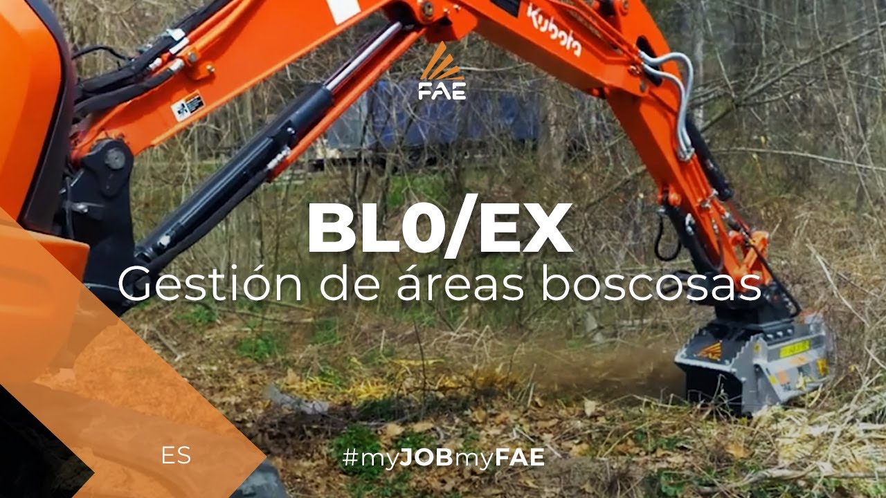 La trituradora forestal FAE BL0/EX con una excavadora Kubota