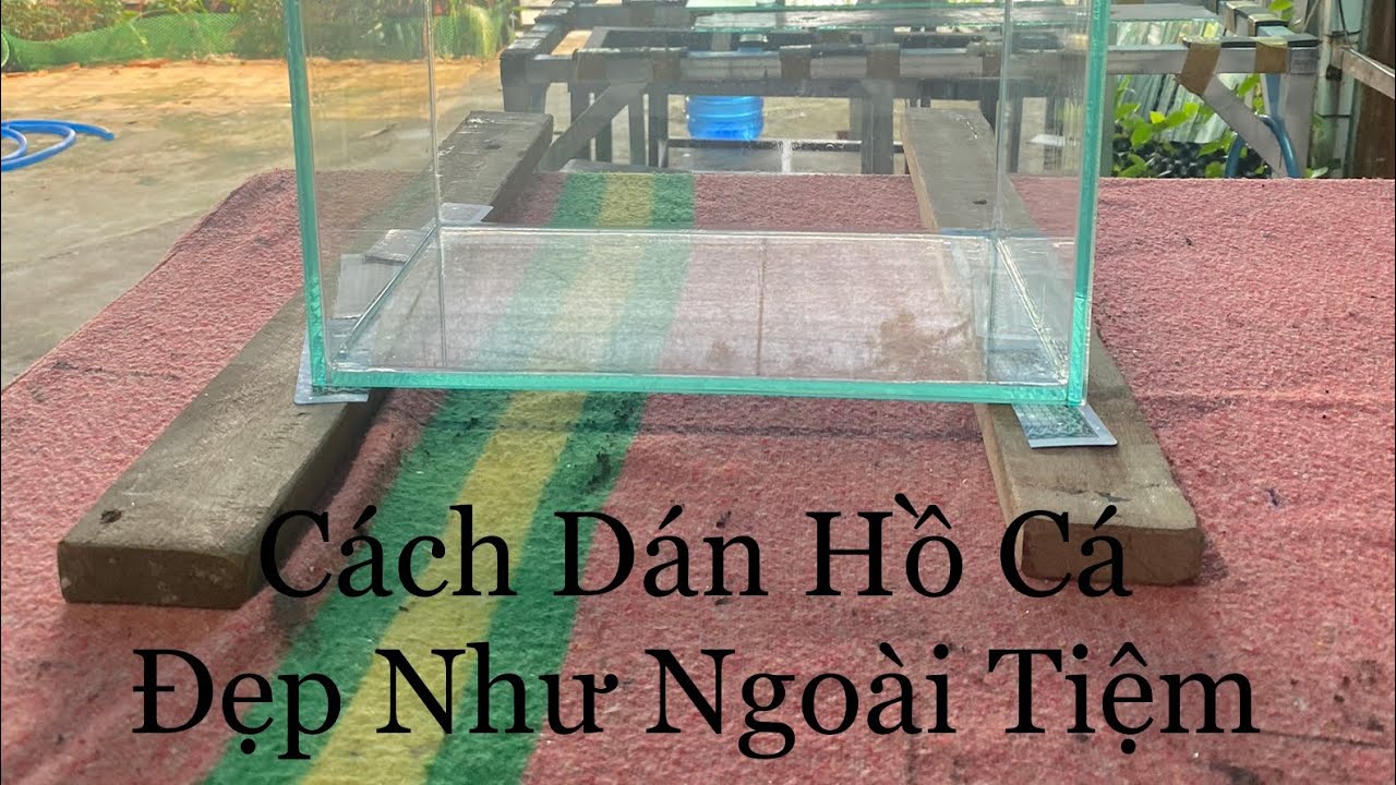 Cách Dán Hồ Cá  Dấu Keo , Hồ Thuỷ Sinh Tại Nhà Đẹp Mắt Ai Cũng Có Thể Tự Làm Cho Mình Một Cái