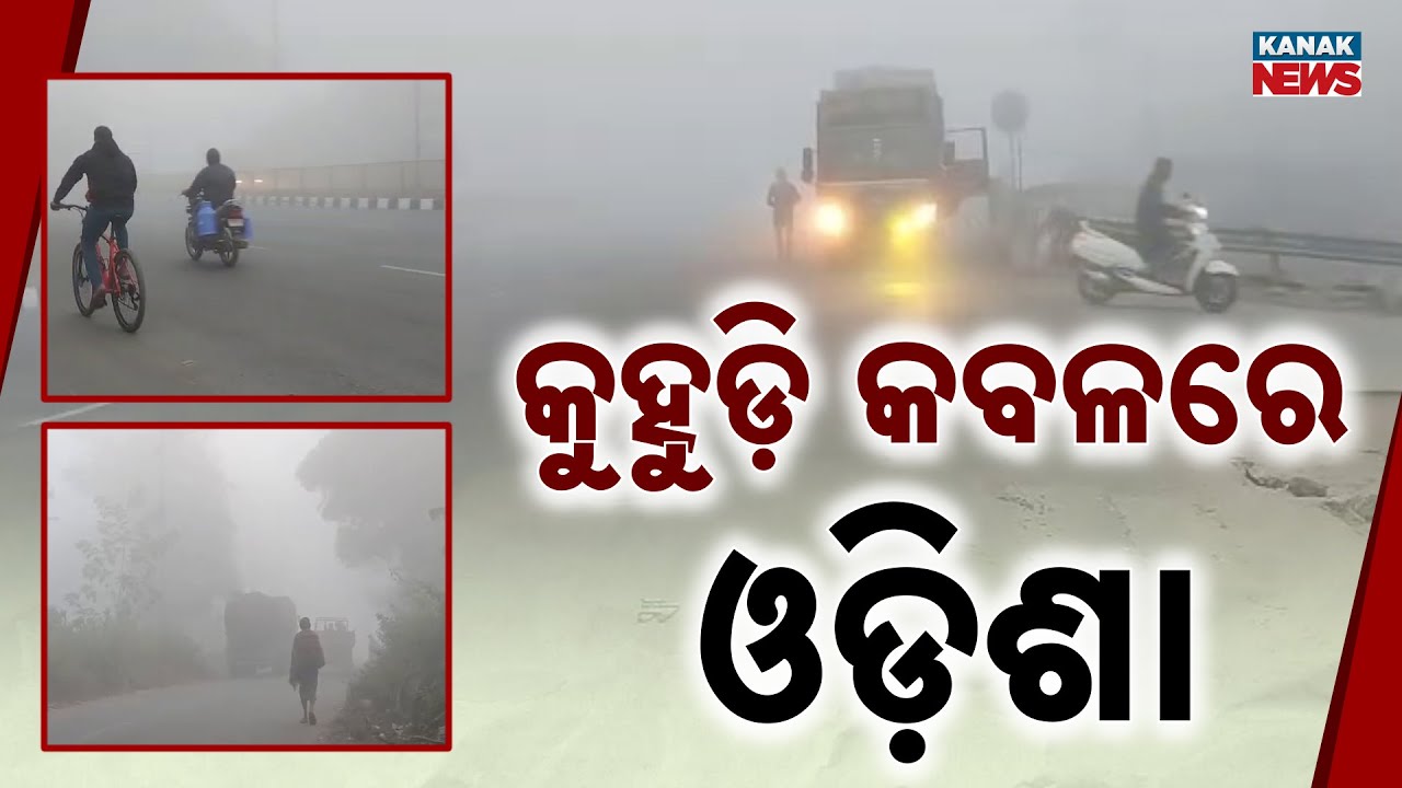 Special Report: Odisha Shrouded In Dense Fog: Traffic, Flights & Daily Life Severely Affected
