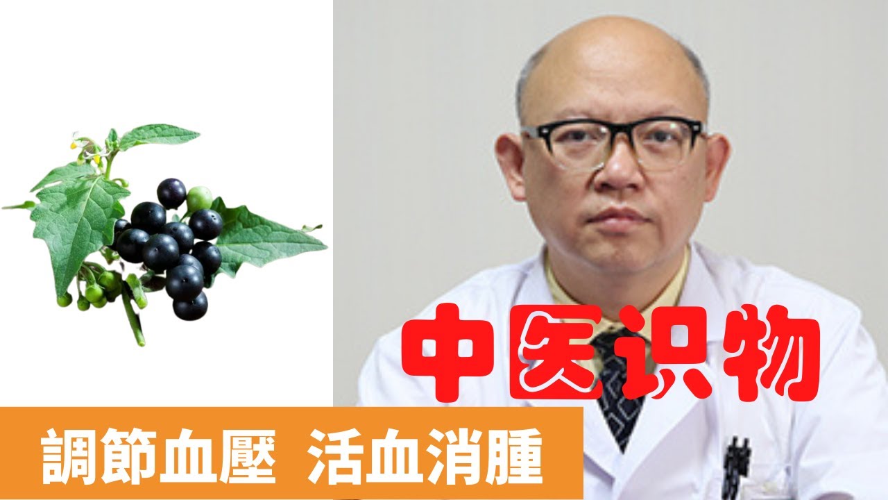 龍葵的功效與作用 【保健養生】生生不息