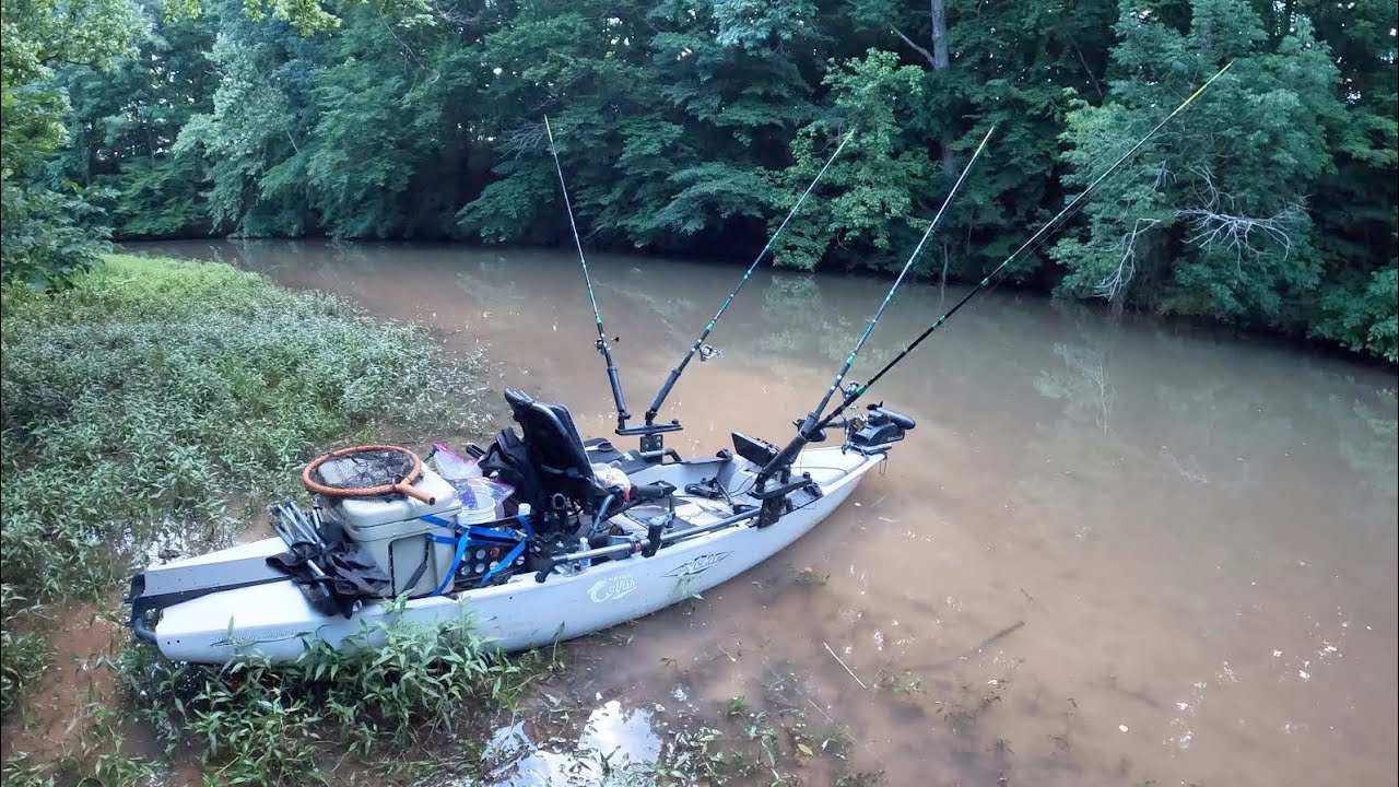 This TINY Creek Was LOADED With Fish