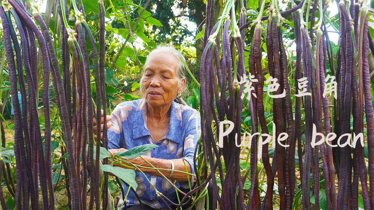 The traditional way of making beans｜豆角吃不完這樣做，方法簡單，綠色健康，曬乾保存能吃一年｜Chinese Food ｜广西 美食 玉林阿婆
