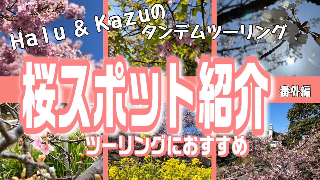 お花見ツーリングにおススメの桜スポットを10ヶ所紹介！（+菜の花と桃の花も）