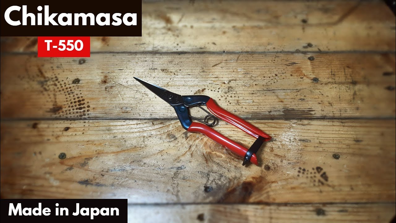 Chikamasa T-550 - Bonsai Tools (Gunting Bonsai)