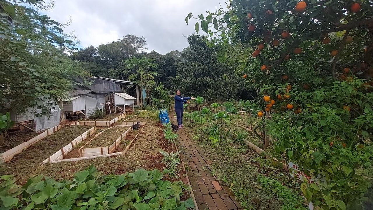 TOUR COMPLETO PELA MINHA HORTA ORGÂNICA, TÁ GIGANTE!!!