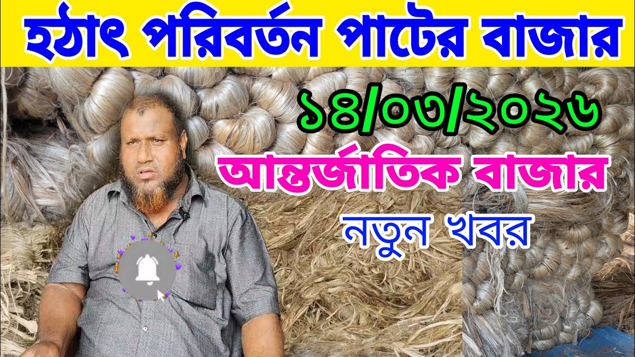 ১৪-০৩-২০২৬ পাটের গুরুত্বপূর্ণ খবর আজকে! সামনে বাড়বে পাটের দাম অজানা তথ্য দিলো বেপারীjute price today