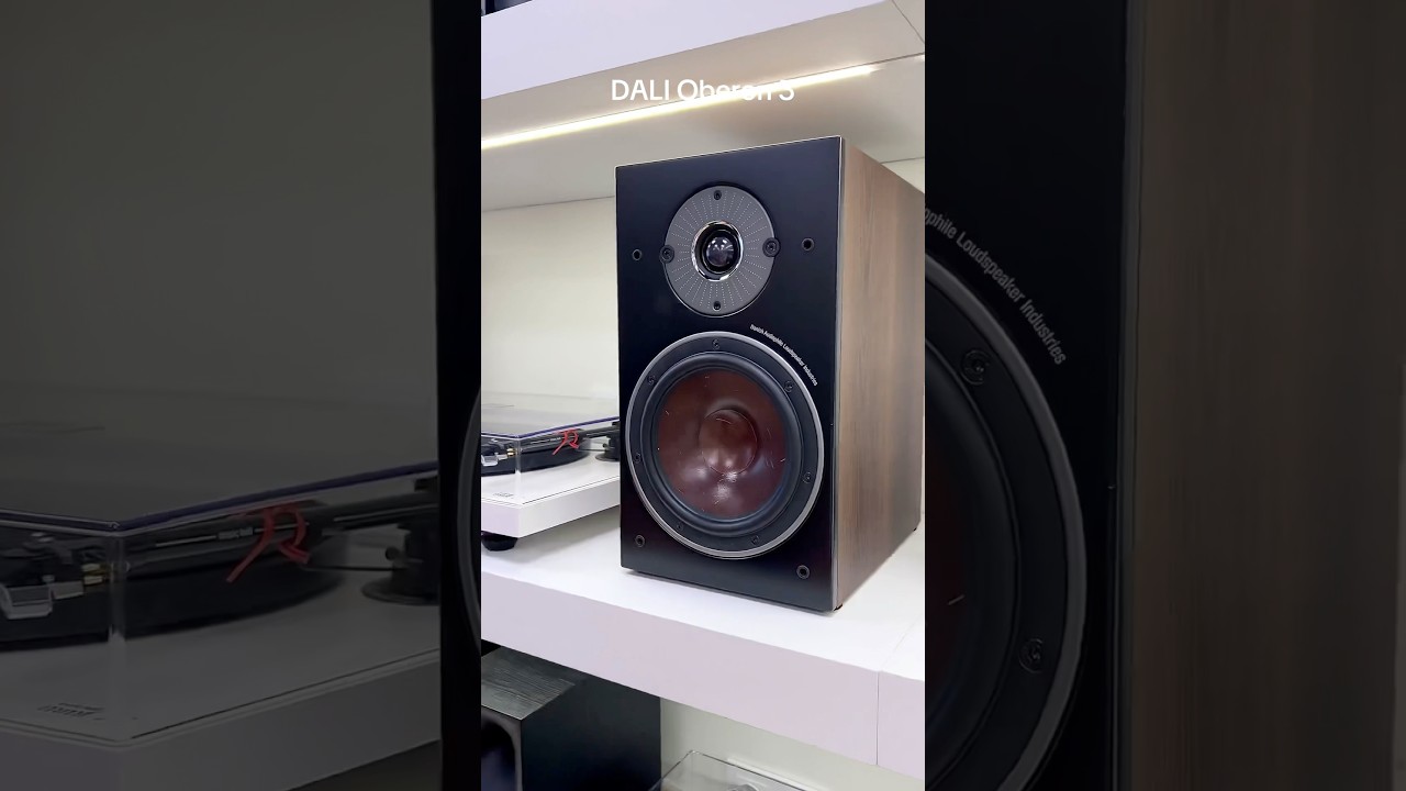 DALI Oberon 3