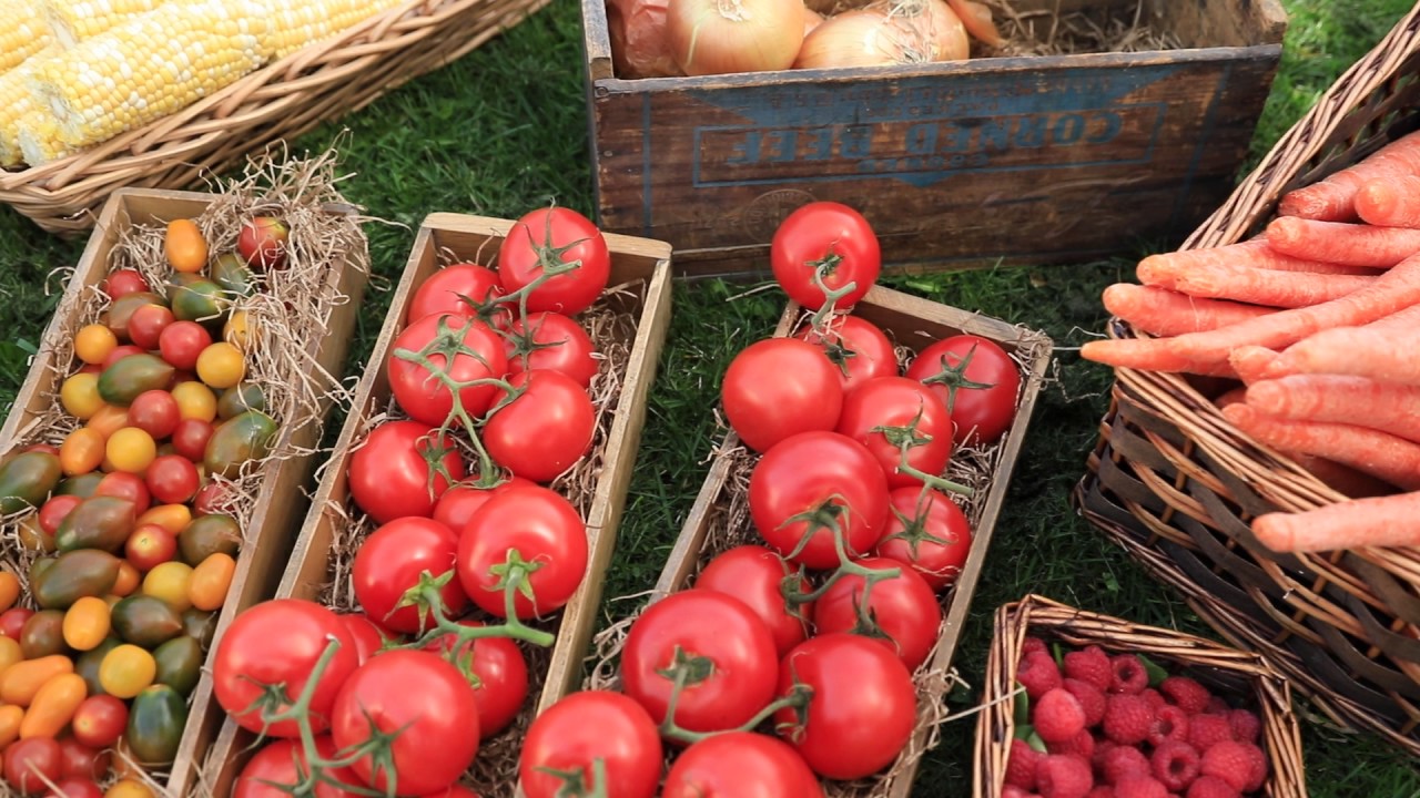 Growing Community