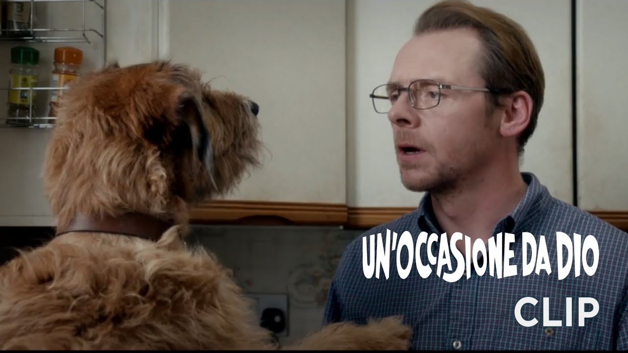 Un'occasione da Dio (Simon Pegg, Kate Beckinsale) - Scena in italiano 