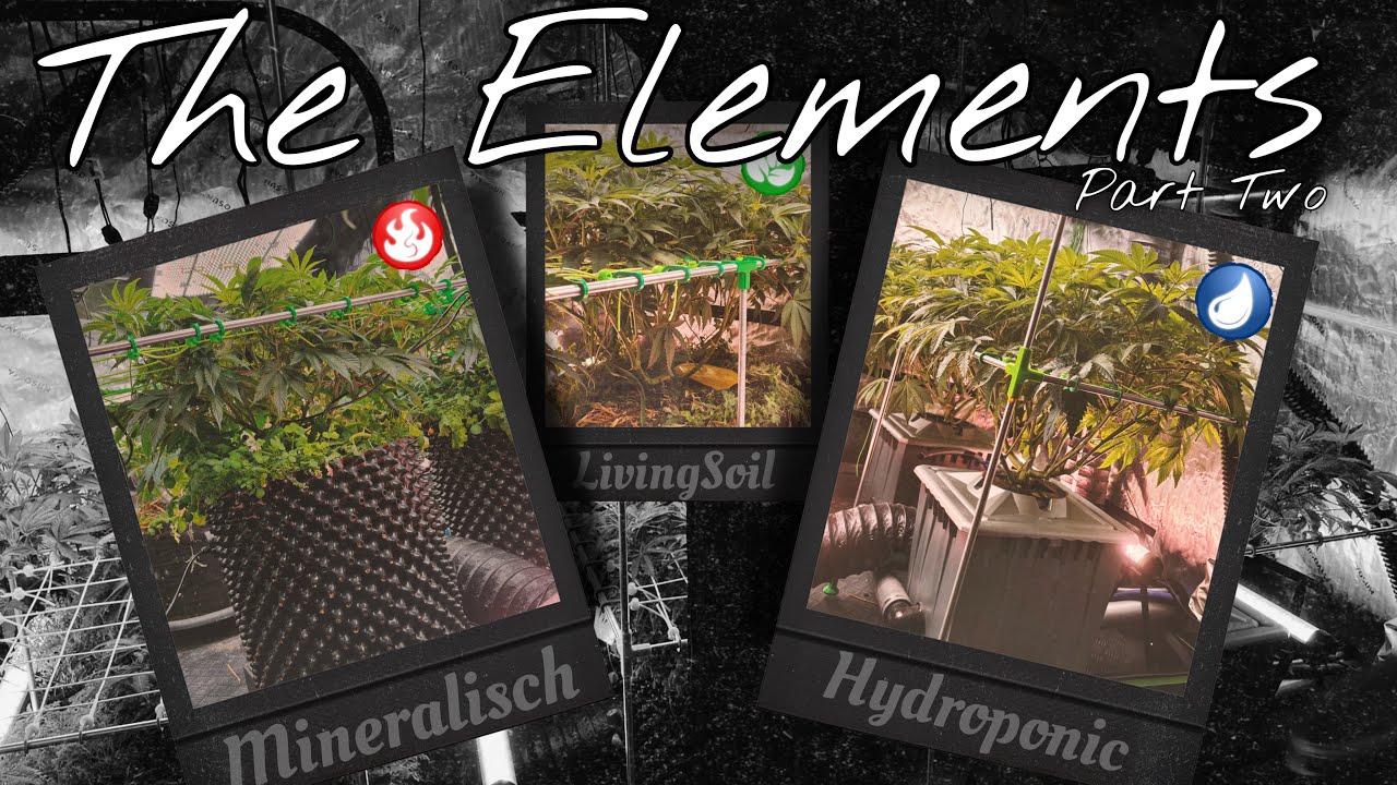 Die Elemente im Überblick Teil 2, der Mineralische Power - Grow auf Erde und im Hydroponic System 👽