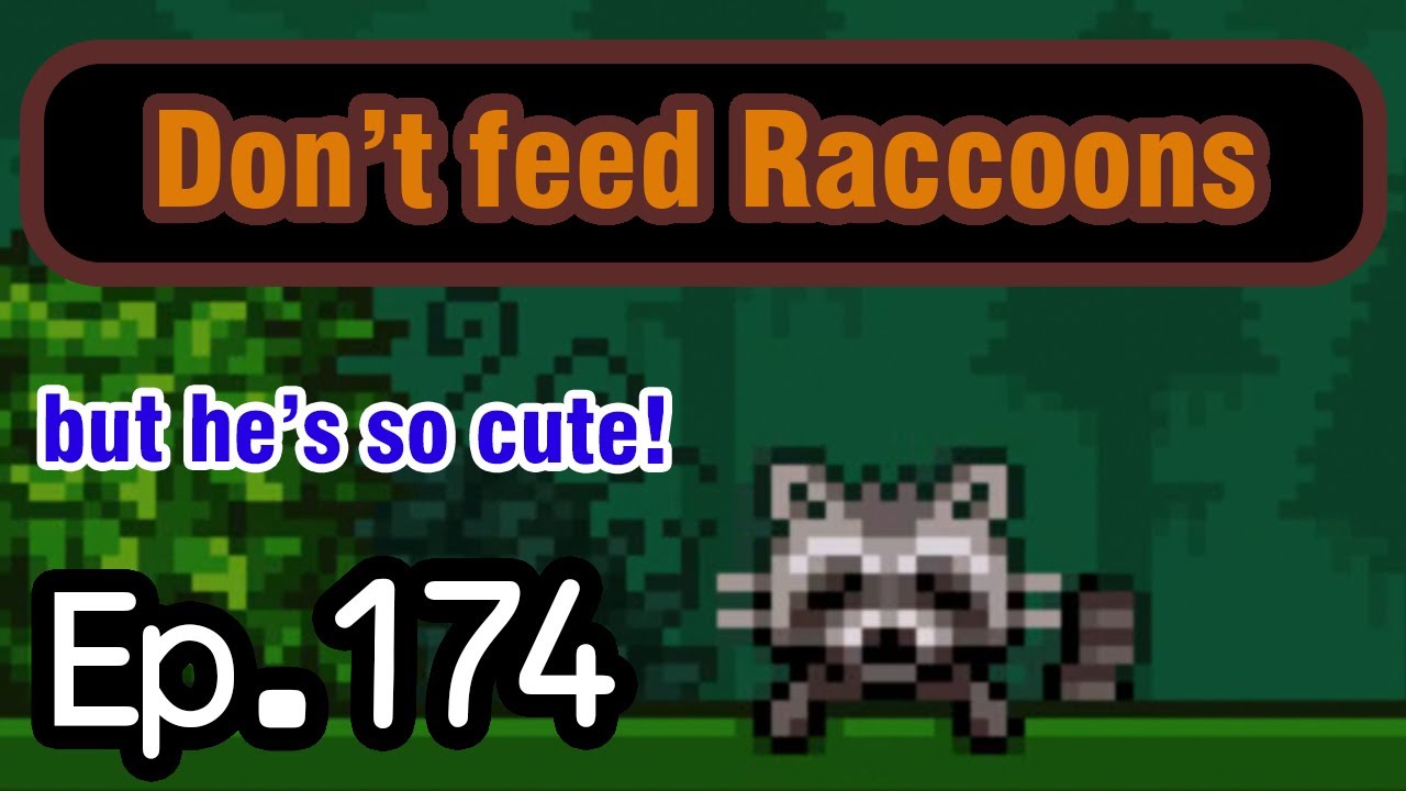 4K Stardew Valley S1 Ep.174: Feeding the Racoon