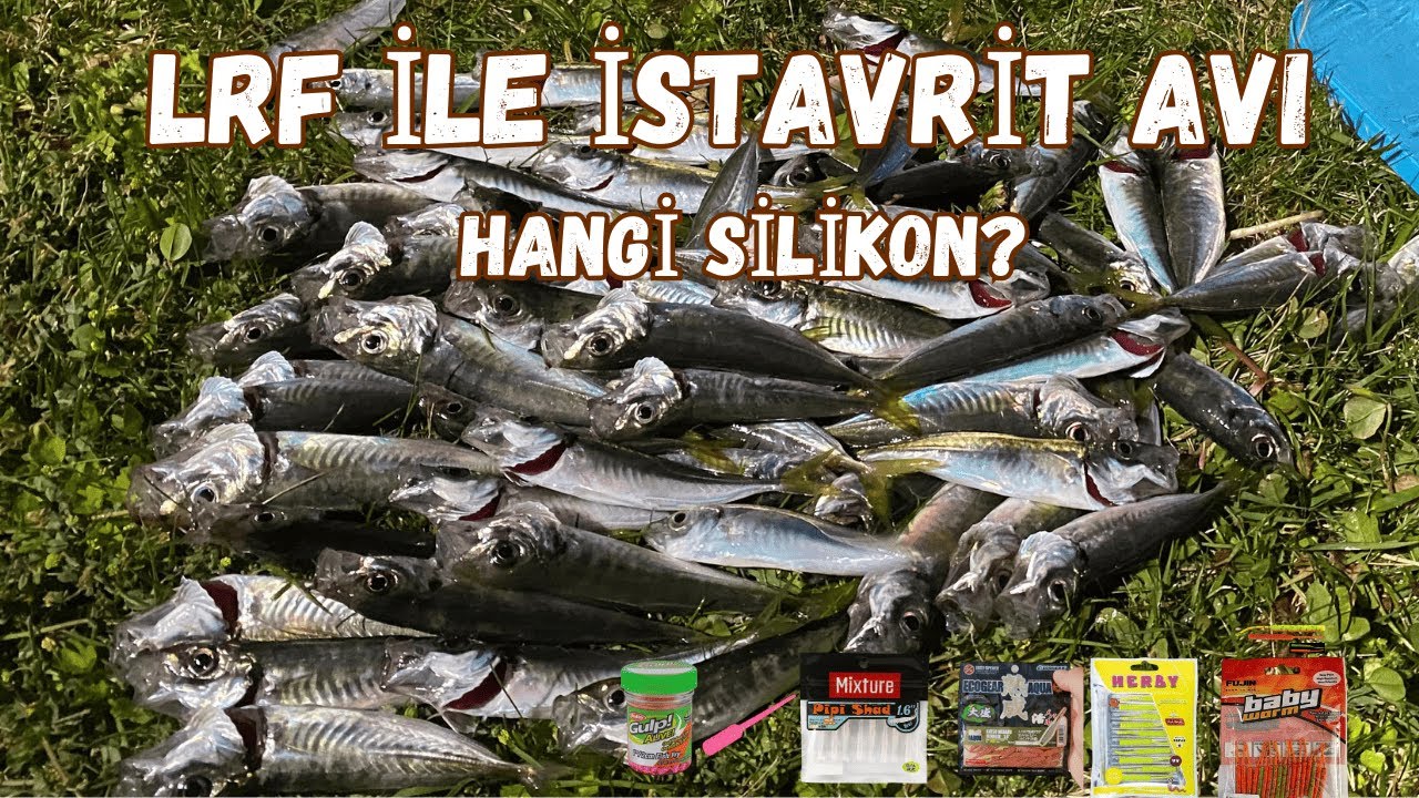 LRF ile İstavrit Avı 🎣 | Hangi Silikon Daha Avcı? (Net Sonuç!)