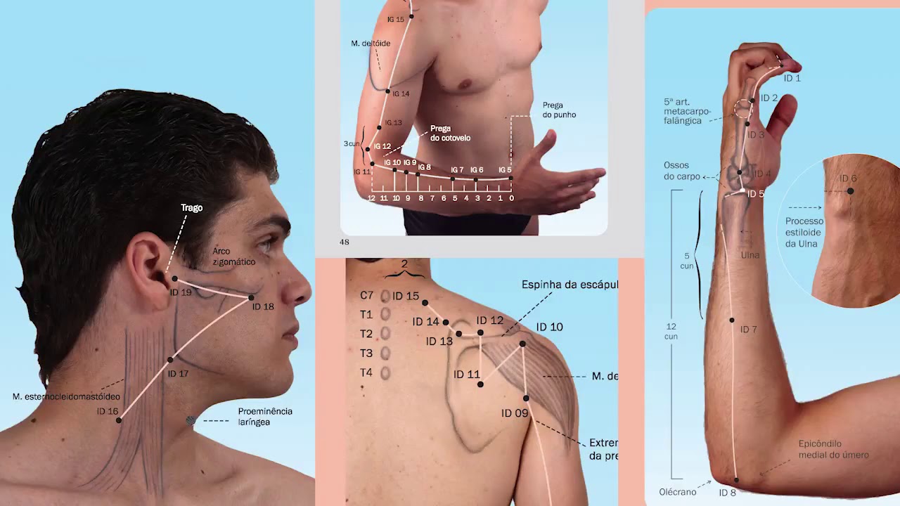 Como Usar o Manual de Acupuntura Direto ao Ponto