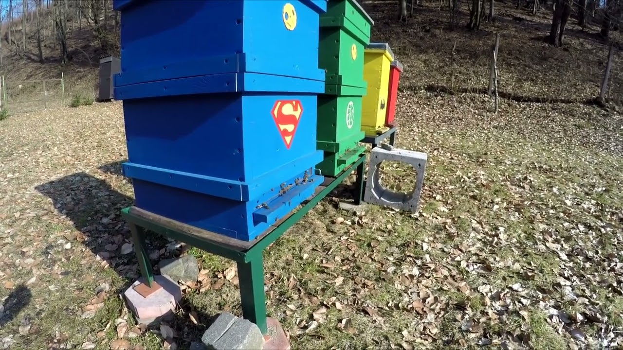 Je to o včielkach: Časť X. - Podnecovanie na jar