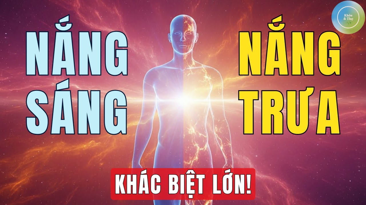 Nắng Sáng vs Nắng Trưa: Thời Điểm Tạo Vitamin D Tốt Nhất Là Khi Nào?