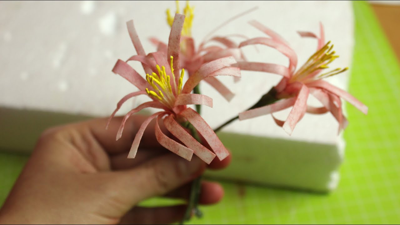 Einfache Blumen aus Esspapier/Reispapier/ Wafer Paper Flowers/ Tortendekoration