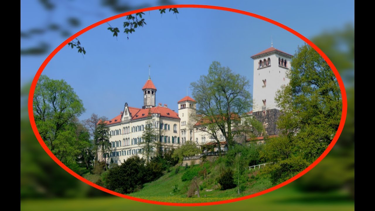 An der Zwickauer Mulde (zwischen Waldenburg und Remse)