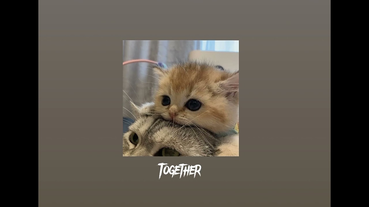 Together by Ne-Yo (Sped up)