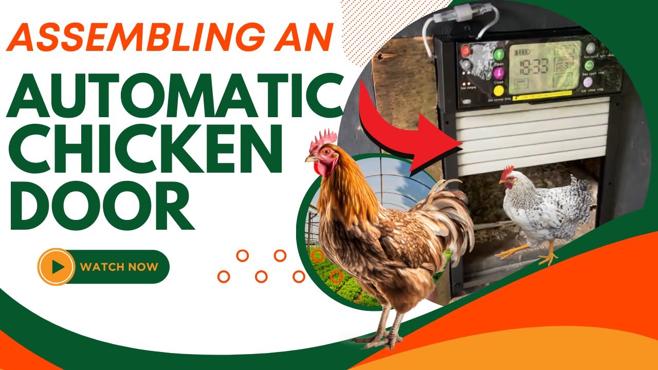 I Built A Smart Chicken Coop With An Automatic Door