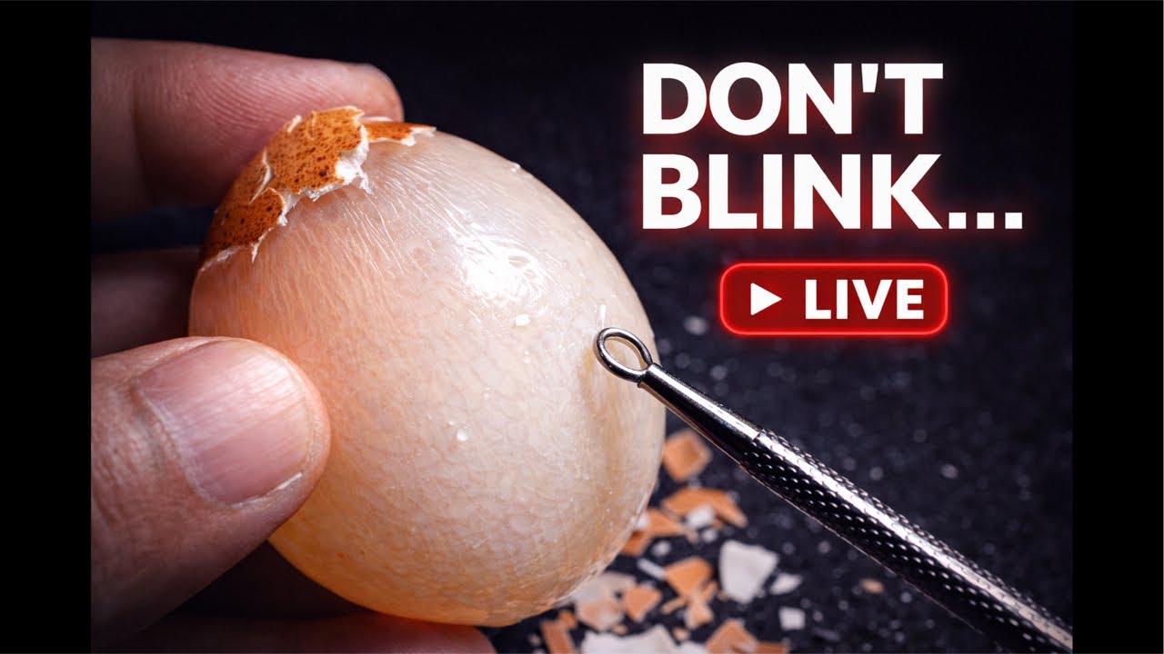Trying to Peel the Perfect Raw Egg… Live Experiment