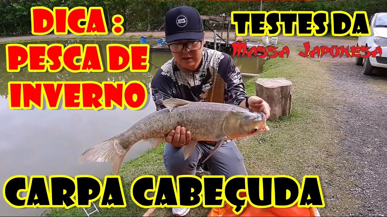 PESCA DE INVERNO: CARPA CABEÇUDA