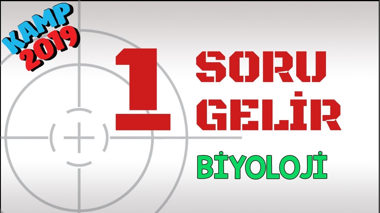 1 Soru Gelir Yaşam Bilimi, FUNDAmentals ile | Kamp2019