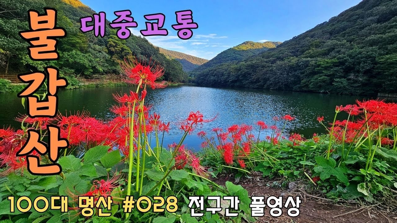 ⛰️ 불갑산 대중교통 (불갑사 임시정류장) | 🚌 대중교통 | 💯 100대 명산 [028] |  Korea Bulgapsan Moutain