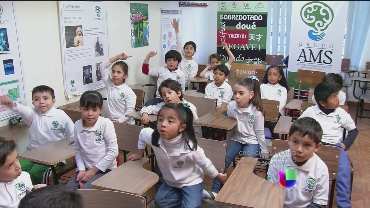 Son rebeldes, retraídos e hiperactivos. No ponen atención a la escuela porque se aburren