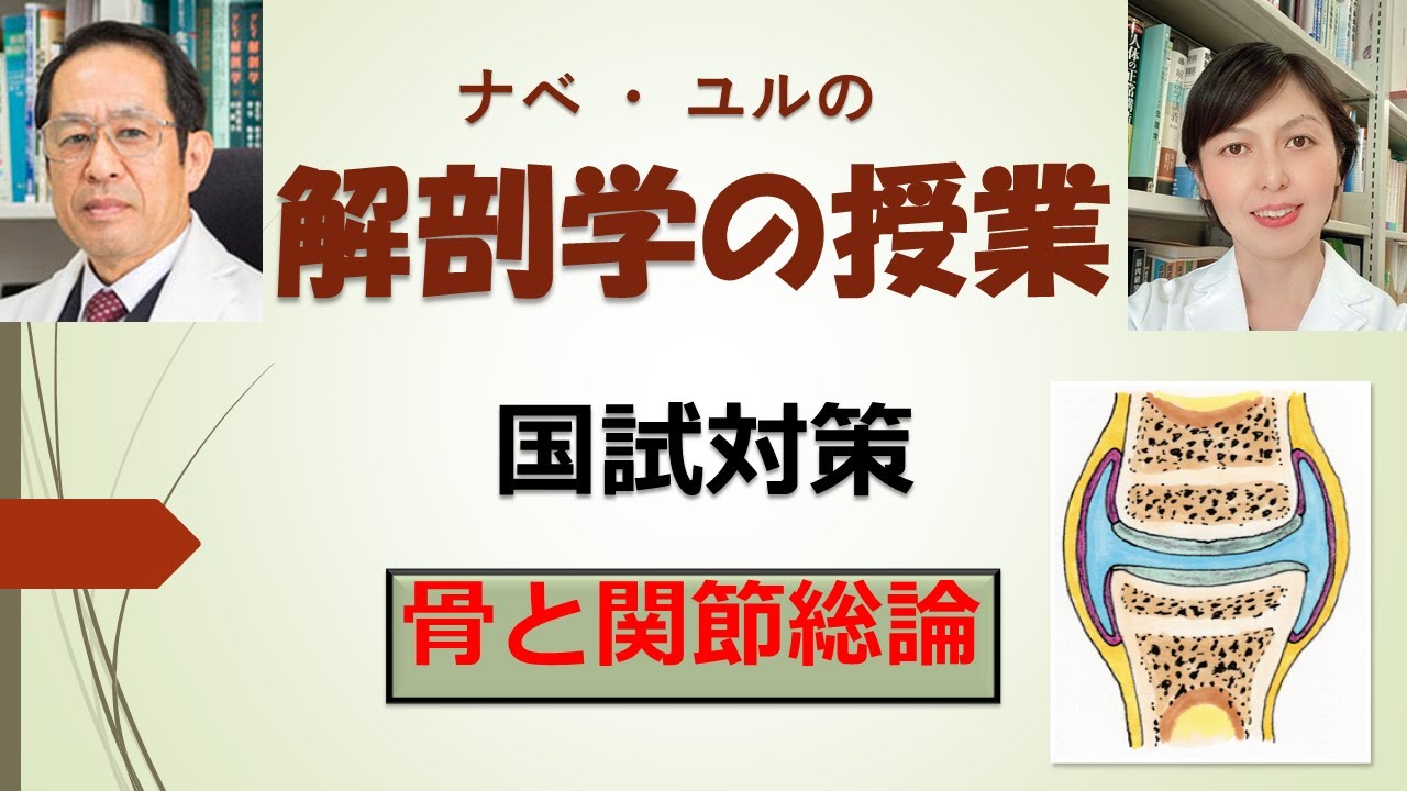 解剖学国試対策: 骨関節靭帯総論